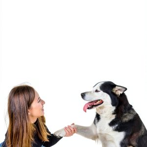 Animal Communicator Guide by Animal Communicator Kindle eBook-0