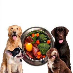 Veterinary Medicine Guide for Food Animals – Dog Care & Health –-0