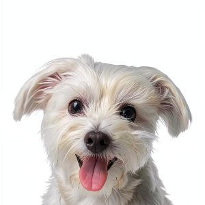 Dog Lovers: A Heartwarming Tale by Magnolia Press-0