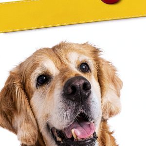 Dog Care Guide: Essential Tips for Healthy Pets – Kindle Edition-0